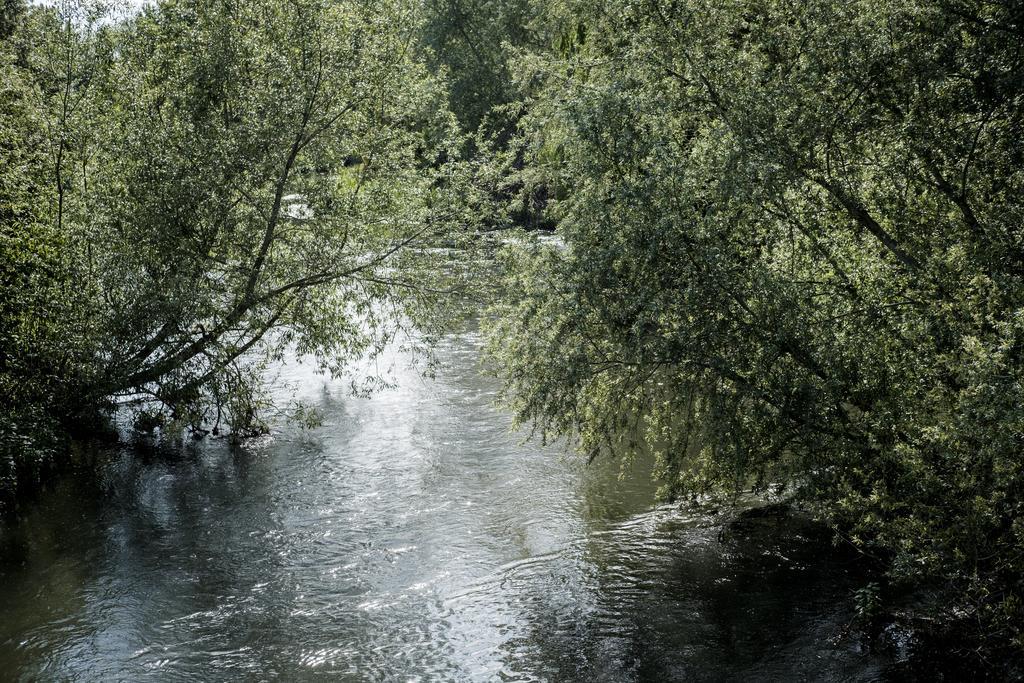 Hinds Head Hotell Aldermaston Eksteriør bilde