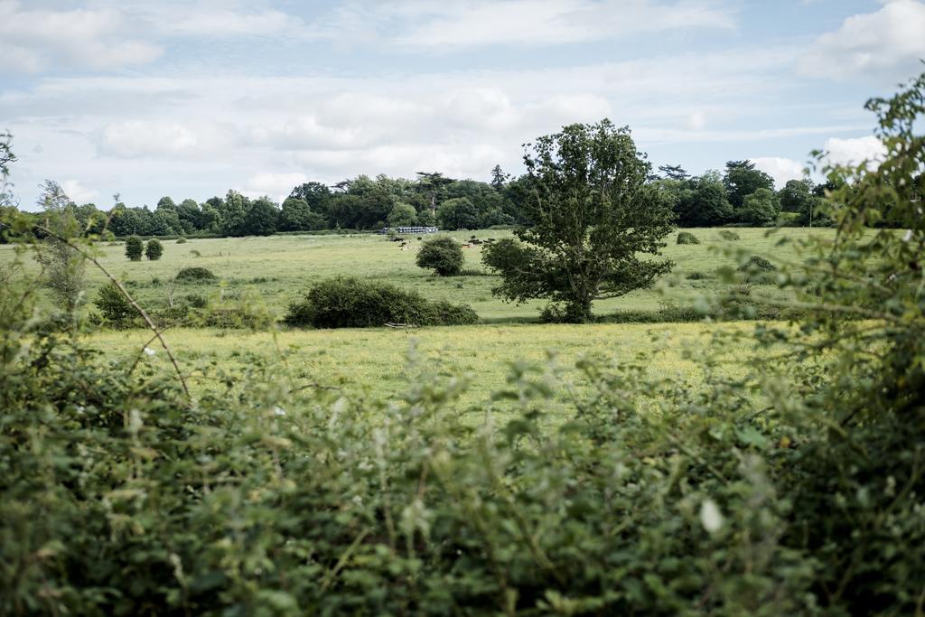 Hinds Head Hotell Aldermaston Eksteriør bilde